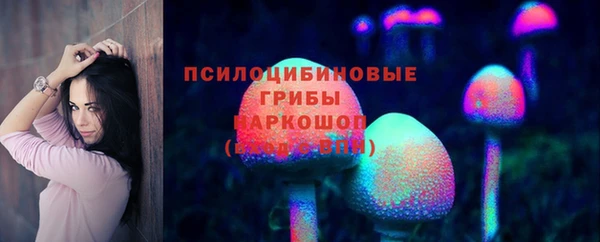 индика Армянск