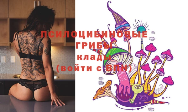 сатива Нея