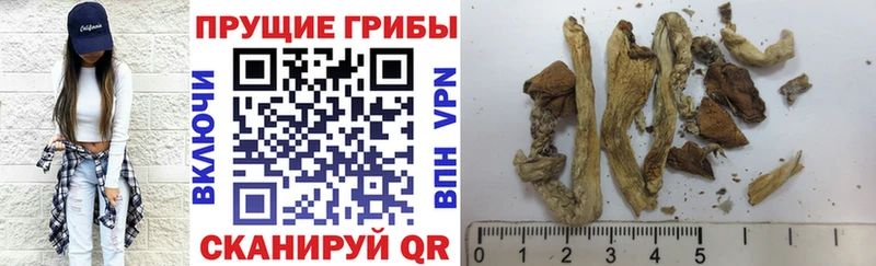 blacksprut ссылка  Белебей  Галлюциногенные грибы прущие грибы 
